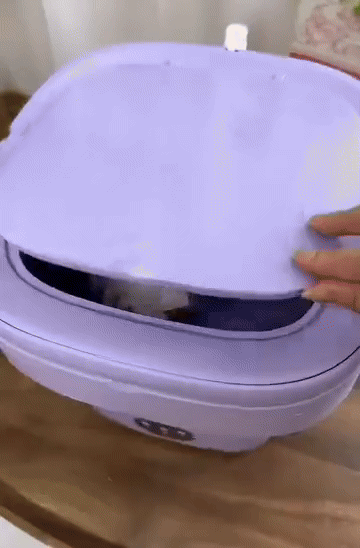 Foldable Mini Laundry Machine